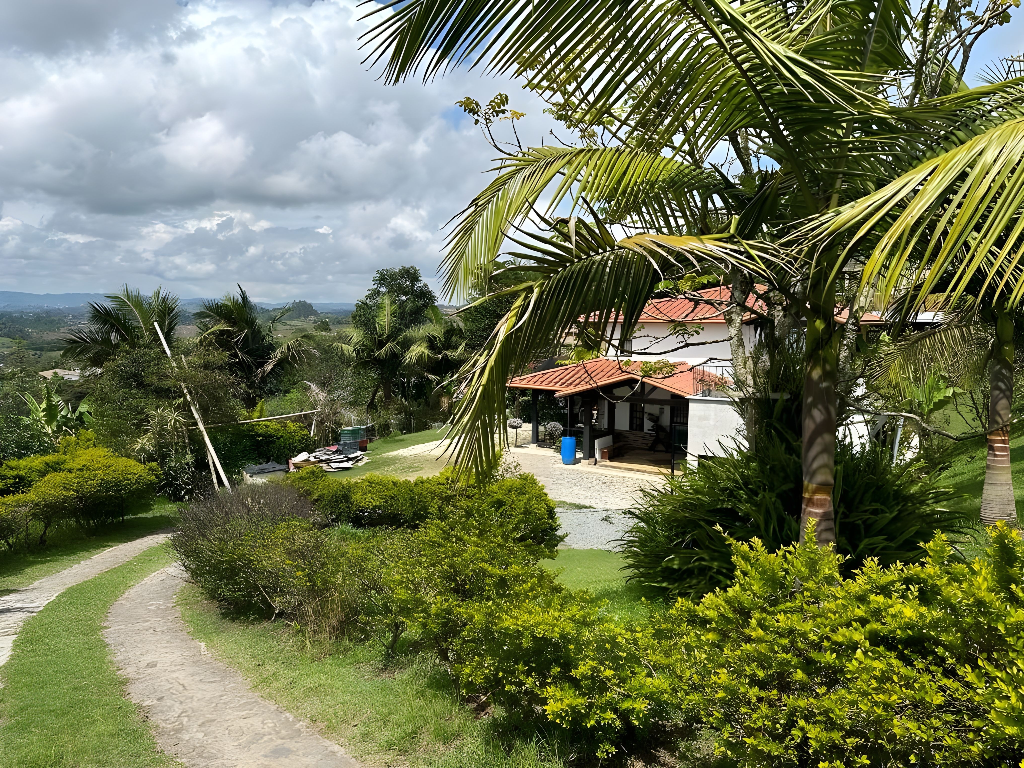 Vista panorámica de Santa Frida Farm en Marinilla, Antioquia - Cultivos de aguacate Hass, café de especialidad y hortalizas orgánicas en el oriente antioqueño